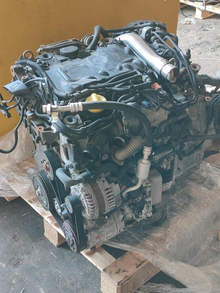 Двигатель Ниссан Х-Трейл в Тутаеве 50287