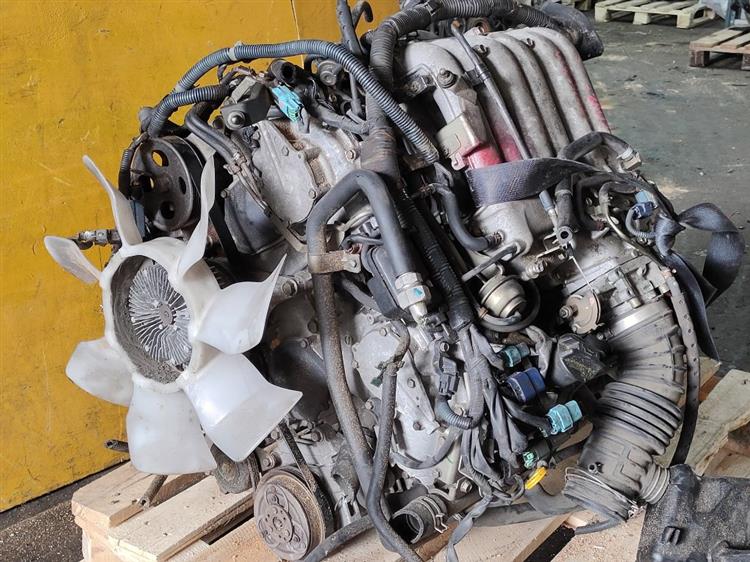 Двигатель Ниссан Эльгранд в Тутаеве 51254
